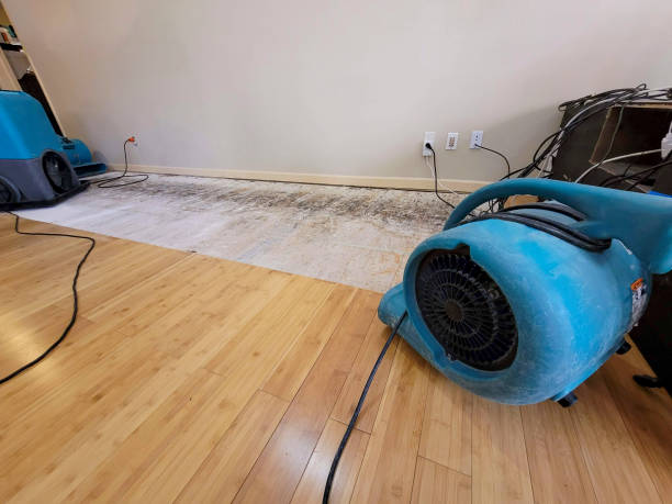 Professional Structural Drying technician working in Mansfield, TX